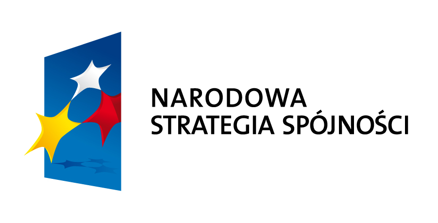 logo NSS